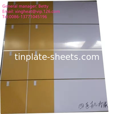 Hojas de estaño para latas de productos químicos y alimenticios 0,15-0,49 mm de espesor Estaño electrolitico MR SPCC Material 600-986 mm de ancho