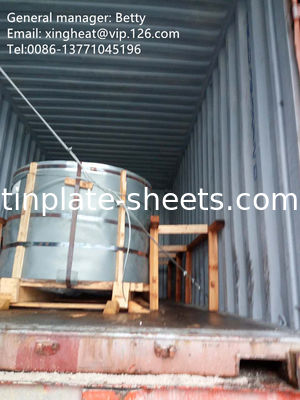 Envases de papel de aluminio para la industria del embalaje 25 toneladas métricas MOQ EXW/FOB/CFR/CIF L/C/T/T/DP Condiciones de pago Material MR y SPCC